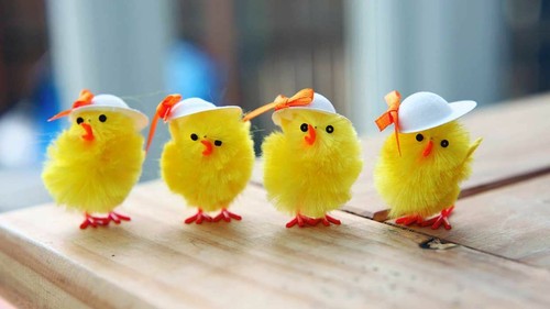 Easter chicks small - easter,
