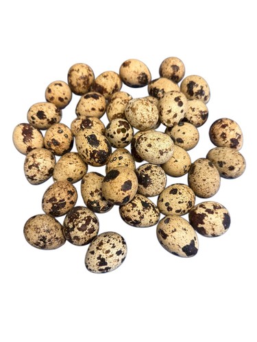 Decorative quail eggs - 12, x