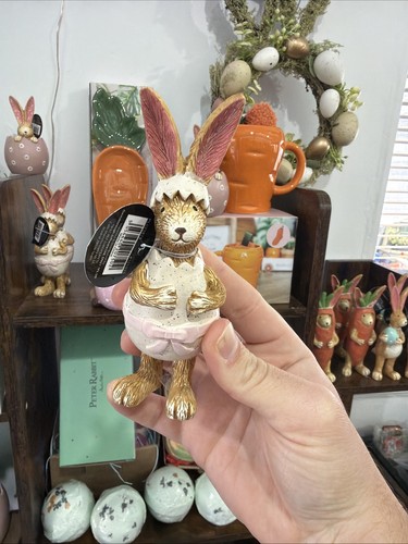 Jasper rabbit easter - in, an
