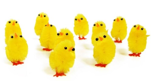 Plush mini yellow chicks - 6,