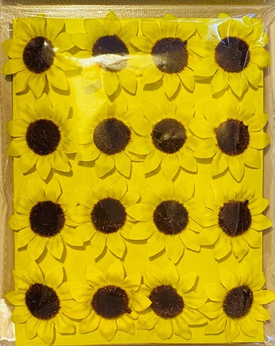 Sunflowers heads craft - heads,